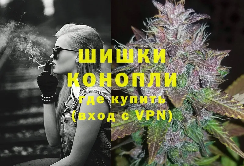 Бошки Шишки SATIVA & INDICA  купить закладку  Дубна 